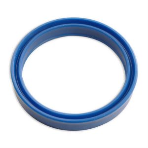 Lip Seal Ring 065345001